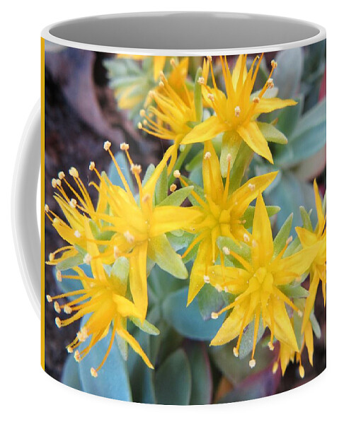 Flower Coffee Mug featuring the photograph Something Yellow by Vesna Martinjak