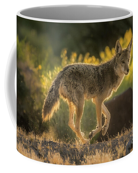 Coyote Coffee Mug featuring the photograph Song Dog Dusk Run by Lisa Manifold