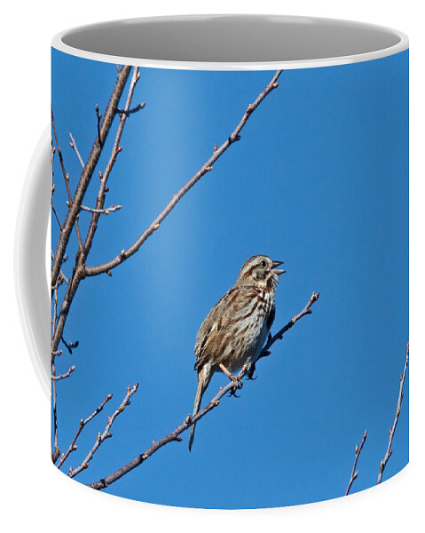 Bird Coffee Mug featuring the photograph Song Sparrow by Michael Peychich