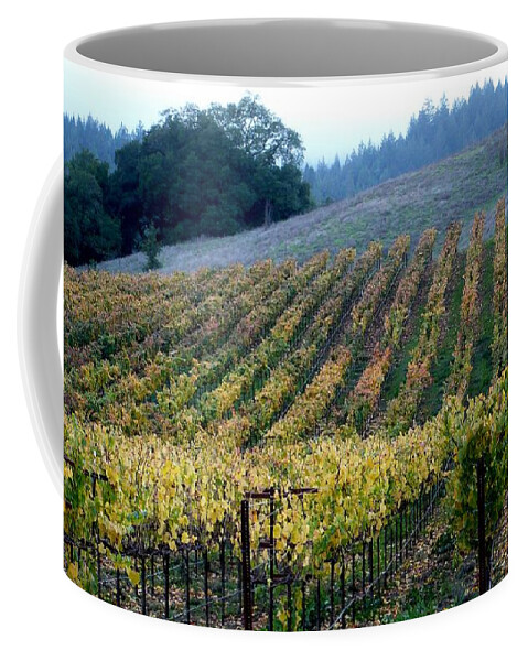 Vineyards Coffee Mug featuring the photograph Sonoma County Vineyards Near Healdsburg by Charlene Mitchell