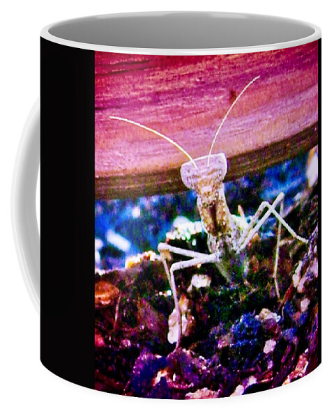 Arizona Coffee Mug featuring the photograph Sonoran Desert Ground Mantis by Judy Kennedy