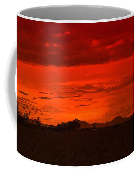 Landscape Coffee Mug featuring the photograph Sonoran sunset by Sheila Ping
