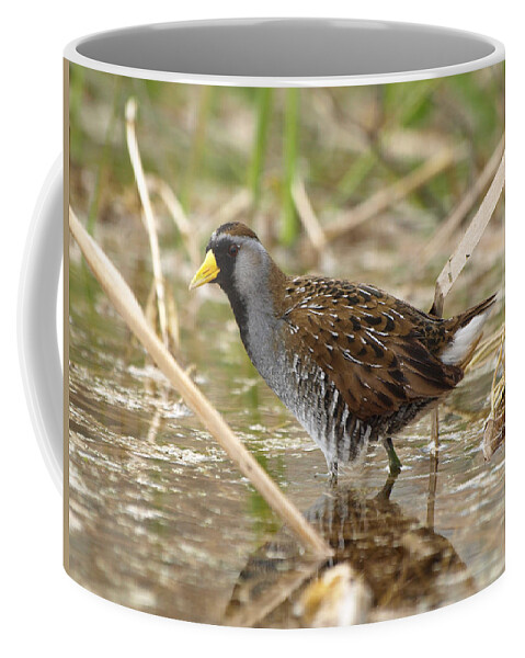 Peterson Nature Photography Coffee Mug featuring the photograph Sora Rail by James Peterson