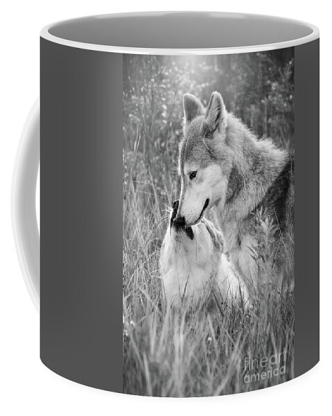 Black And White Coffee Mug featuring the photograph Soul Mates Black And White by Sharon McConnell