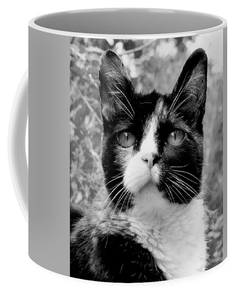 Cat Coffee Mug featuring the photograph Souls Great and Small by Rory Siegel