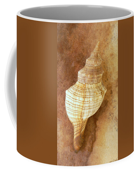 Still Life Coffee Mug featuring the photograph Sounds of the Sea by Holly Kempe