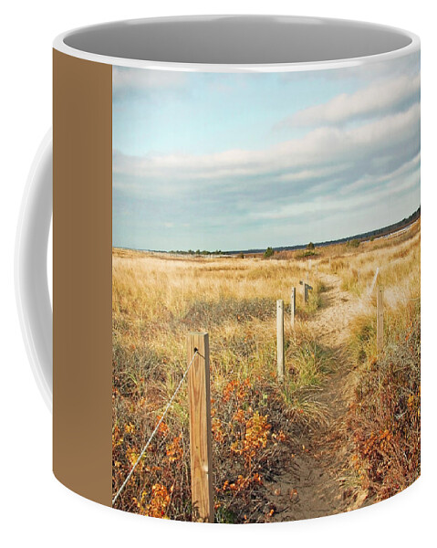 South Cape Beach Coffee Mug featuring the photograph South Cape Beach Trail by Brooke T Ryan