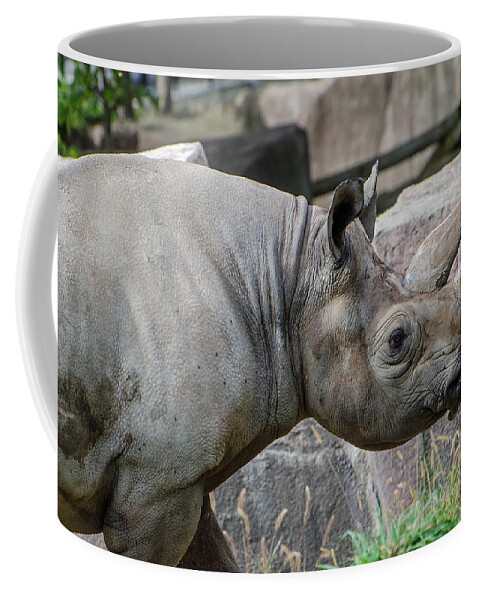 Southern Black Rhinoceros Coffee Mug featuring the photograph Southern Black Rhinoceros by Susan McMenamin
