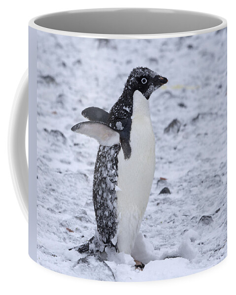 Adelie Penguin Coffee Mug featuring the photograph Southern Comfort by Tony Beck