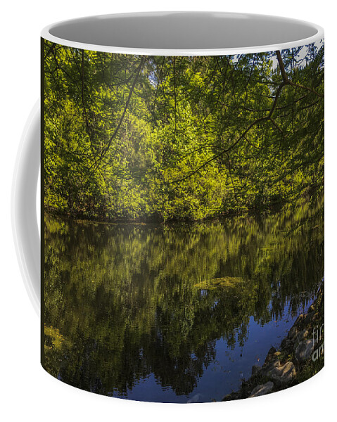 Pond Coffee Mug featuring the photograph Southern Still Waters by Dale Powell