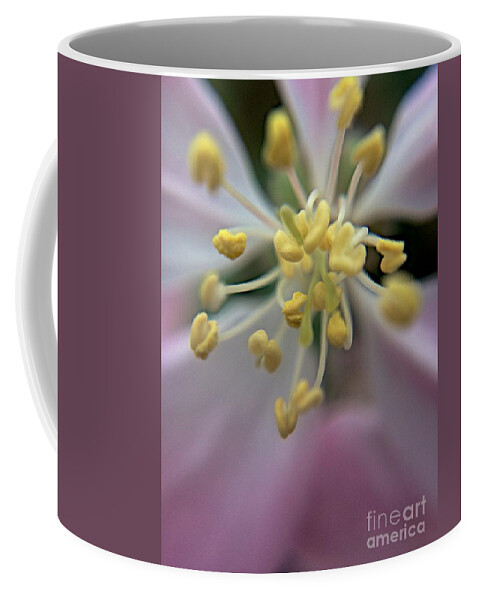 Blooms Coffee Mug featuring the photograph Space and Time by Joseph Yarbrough