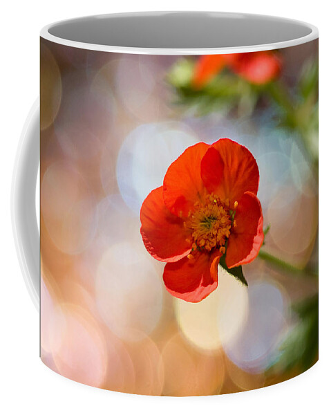 Flowers Coffee Mug featuring the photograph Sparkle Plenty Cookie by Dorothy Lee