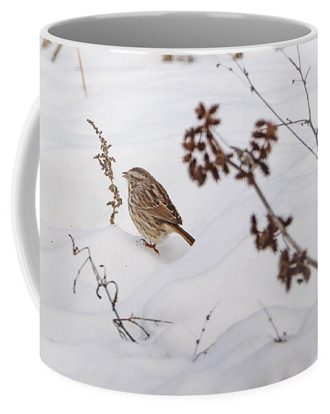 Song Sparrow Coffee Mug featuring the photograph Sparrow in the Winter snow by Holden The Moment