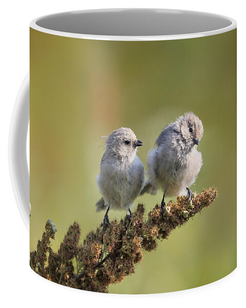 Sparrow Coffee Mug featuring the digital art Sparrow by Super Lovely