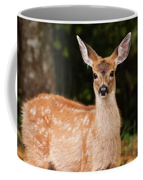 Fawn Coffee Mug featuring the photograph Speckled Fawn by Peggy Collins