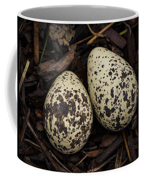 Jean Noren Coffee Mug featuring the photograph Speckled Killdeer Eggs by Jean Noren by Jean Noren