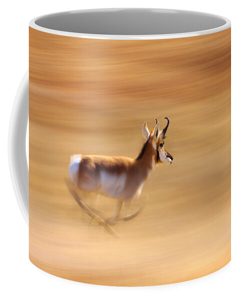 Impala Coffee Mug featuring the photograph Speed by Kadek Susanto