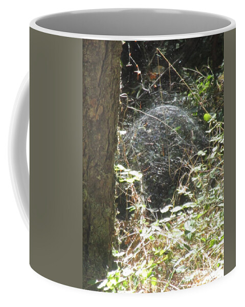 Spider Coffee Mug featuring the photograph Spider Dome by Marie Neder