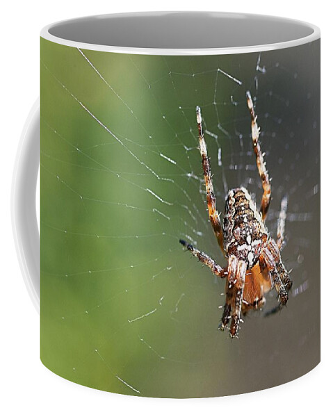 Animal Coffee Mug featuring the photograph Spider by Paulo Goncalves