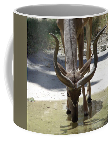 Anteloup Coffee Mug featuring the photograph Spiral Horned Antelope Drinking by Colleen Cornelius