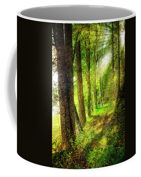 Appalachia Coffee Mug featuring the photograph Spiritual Walk with Nature by Debra and Dave Vanderlaan