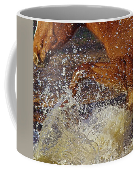 Splash Coffee Mug featuring the photograph Splash by Amanda Smith