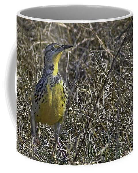 Splendor In The Grass Coffee Mug featuring the photograph Splendor in the Grass by Gary Holmes