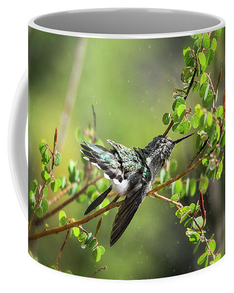 Hummingbird Coffee Mug featuring the photograph Splish Splash Hummingbird by Saija Lehtonen