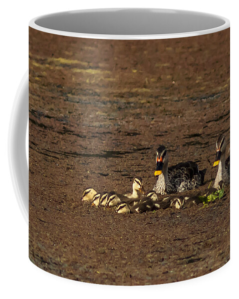 Spotbill Coffee Mug featuring the photograph Spot Billed Duck Family by Ramabhadran Thirupattur