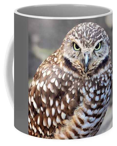 Kj Swan Birds Coffee Mug featuring the photograph Spots - Burrowing Owl by KJ Swan