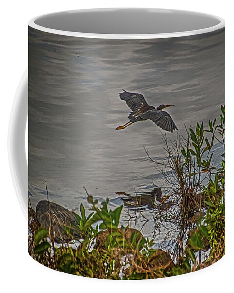 Heron Coffee Mug featuring the photograph Spread Your Wings and Fly by Judy Hall-Folde