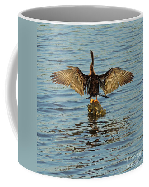 Bird Coffee Mug featuring the photograph Spreading My Wings by Mim White