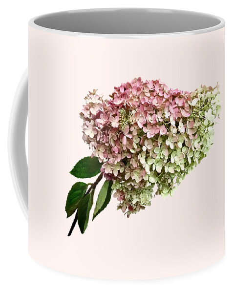 Hydrangea Coffee Mug featuring the photograph Sprig of Hydrangea by Susan Savad