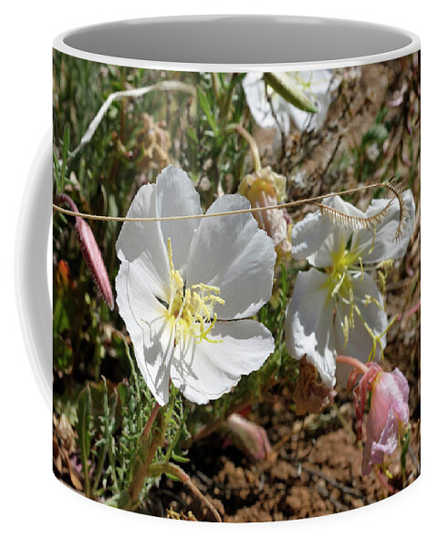 Landscape Coffee Mug featuring the photograph Spring at Last by Ron Cline