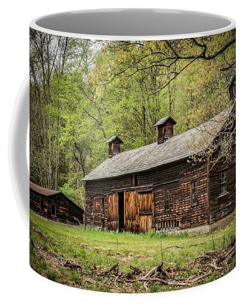  Coffee Mug featuring the photograph Spring at Zimmerman farm by Pamela Taylor