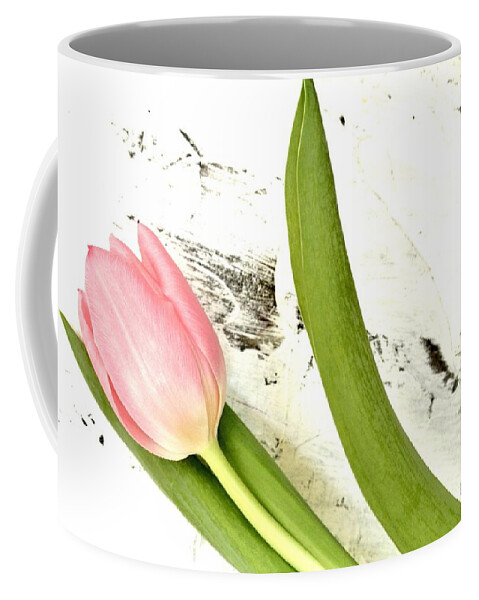 Photo Coffee Mug featuring the photograph Spring Awakes by Marsha Heiken