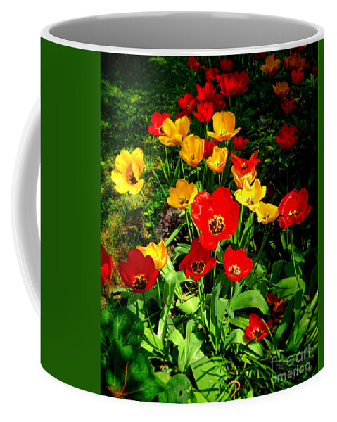 Flowers Coffee Mug featuring the photograph Spring Beauty by Olivier Le Queinec