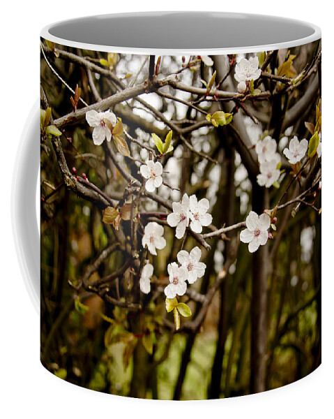 Bare Coffee Mug featuring the photograph Spring bloom. by Elena Perelman