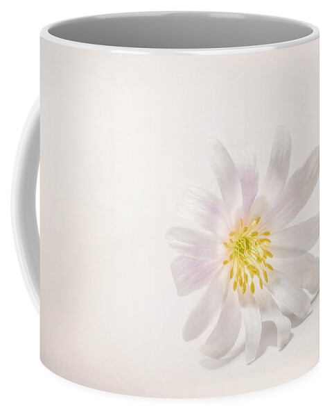 Blossom Coffee Mug featuring the photograph Spring Blossom by Scott Norris