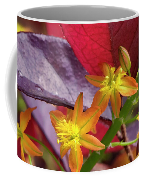 Flower Coffee Mug featuring the photograph Spring Blossoms 2 by Stephen Anderson