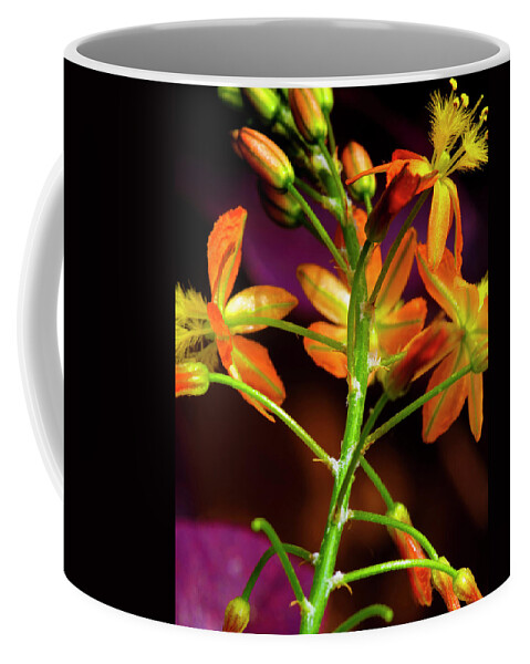 Flower Coffee Mug featuring the photograph Spring Blossoms 3 by Stephen Anderson