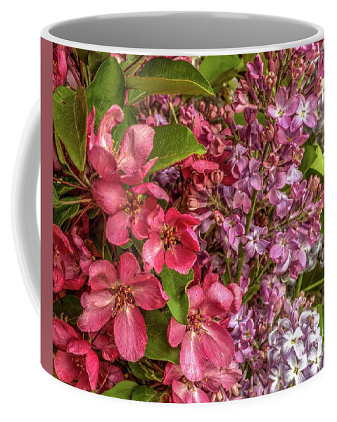 Cherry Blossom Coffee Mug featuring the photograph Spring Blossoms by Roxie Crouch
