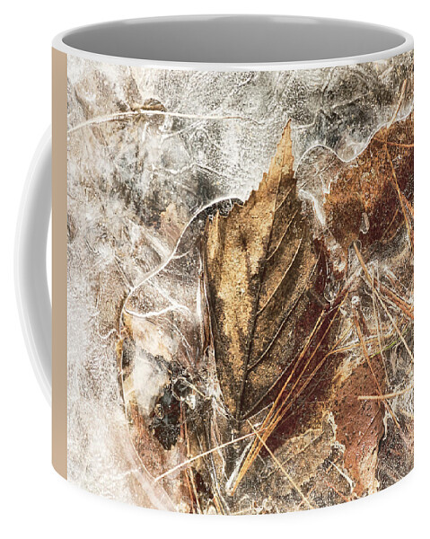 Leaf Coffee Mug featuring the photograph Spring Break by Sue Capuano