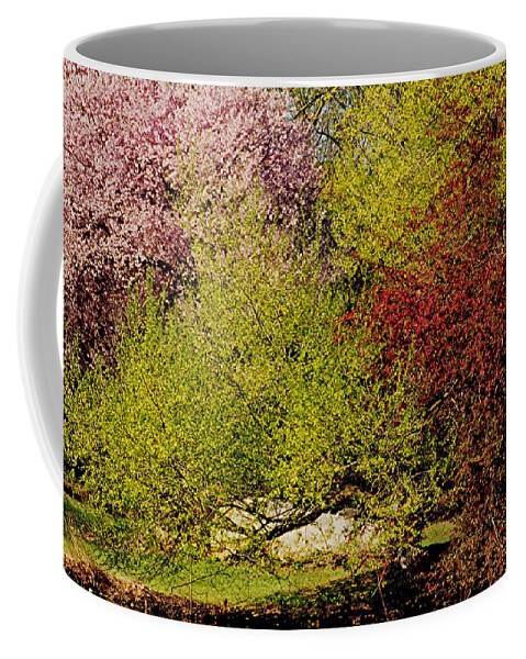 Bright Coffee Mug featuring the photograph Spring Colors by Juergen Roth