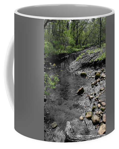 Creek Coffee Mug featuring the photograph Spring Creek by Dylan Punke