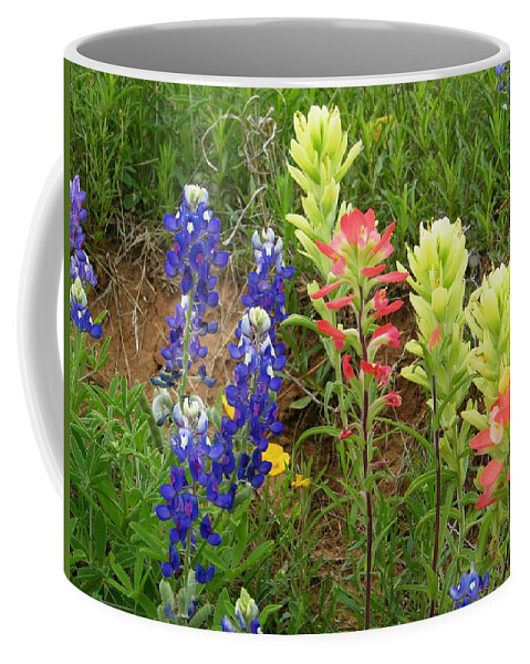 Spring Coffee Mug featuring the photograph Spring Eye Candy by Gale Cochran-Smith
