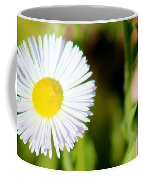 Flora Coffee Mug featuring the photograph Spring Flowers 051514AA by Edward Dobosh