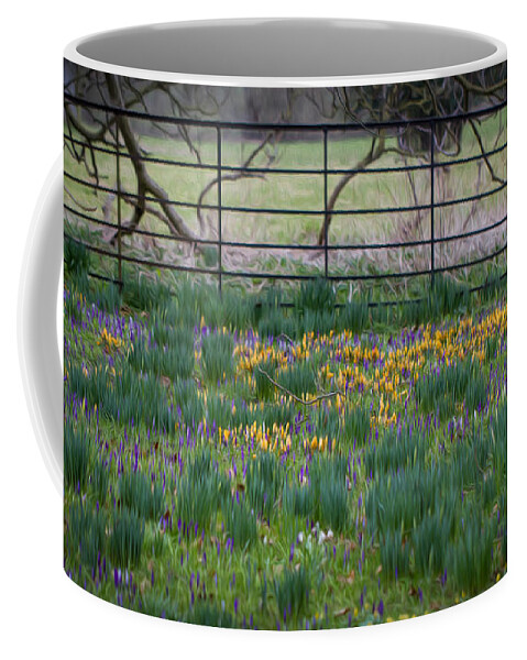 Clare Bambers Coffee Mug featuring the photograph Spring Flowers by Clare Bambers