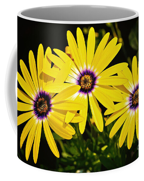 Wildflowers Coffee Mug featuring the photograph Spring Flowers by Gwen Gibson