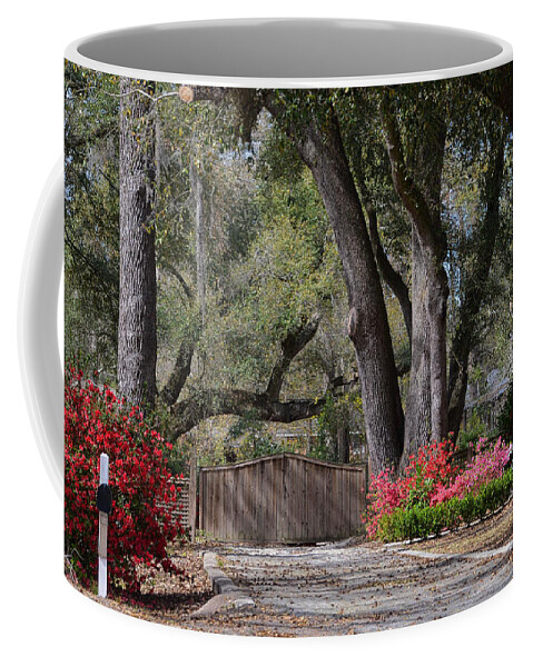 Flowers Coffee Mug featuring the photograph Spring Gate by Linda Brown